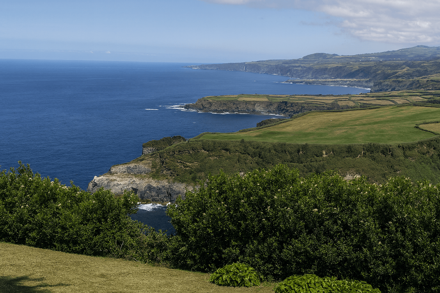 Best Dive Sites in the Azores, Portugal: A Diver's Guide