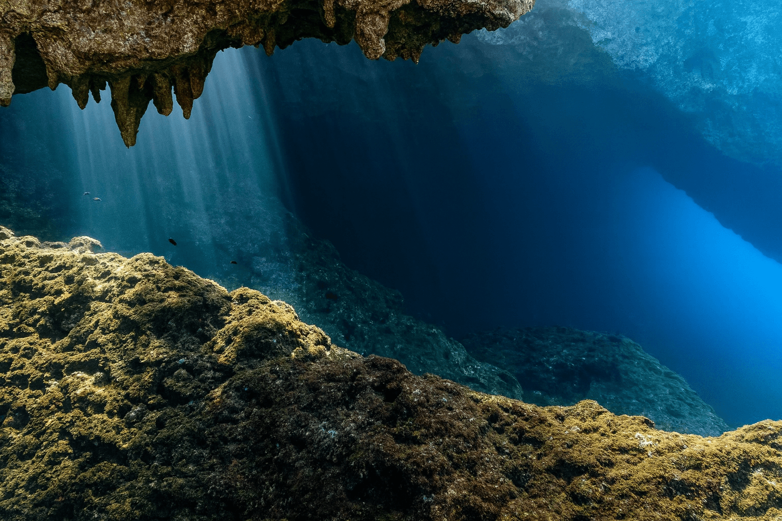 Scuba diving at The Cathedral (Cathedral Cave) in Crete