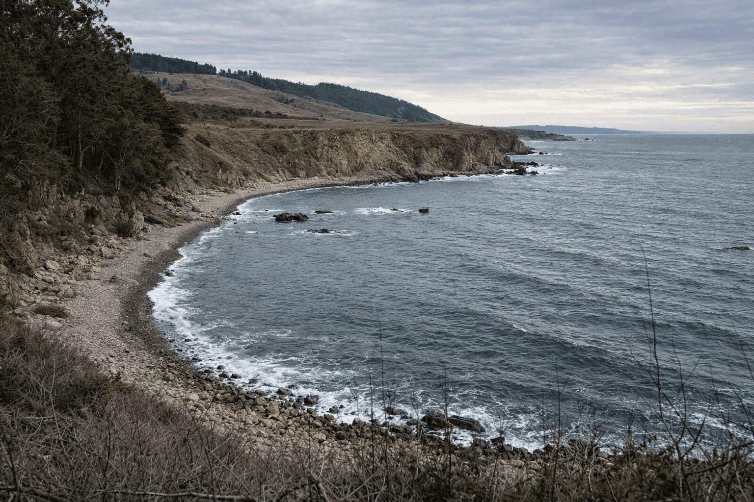 Scuba diving at Fort Ross Cove in Sonoma Coast