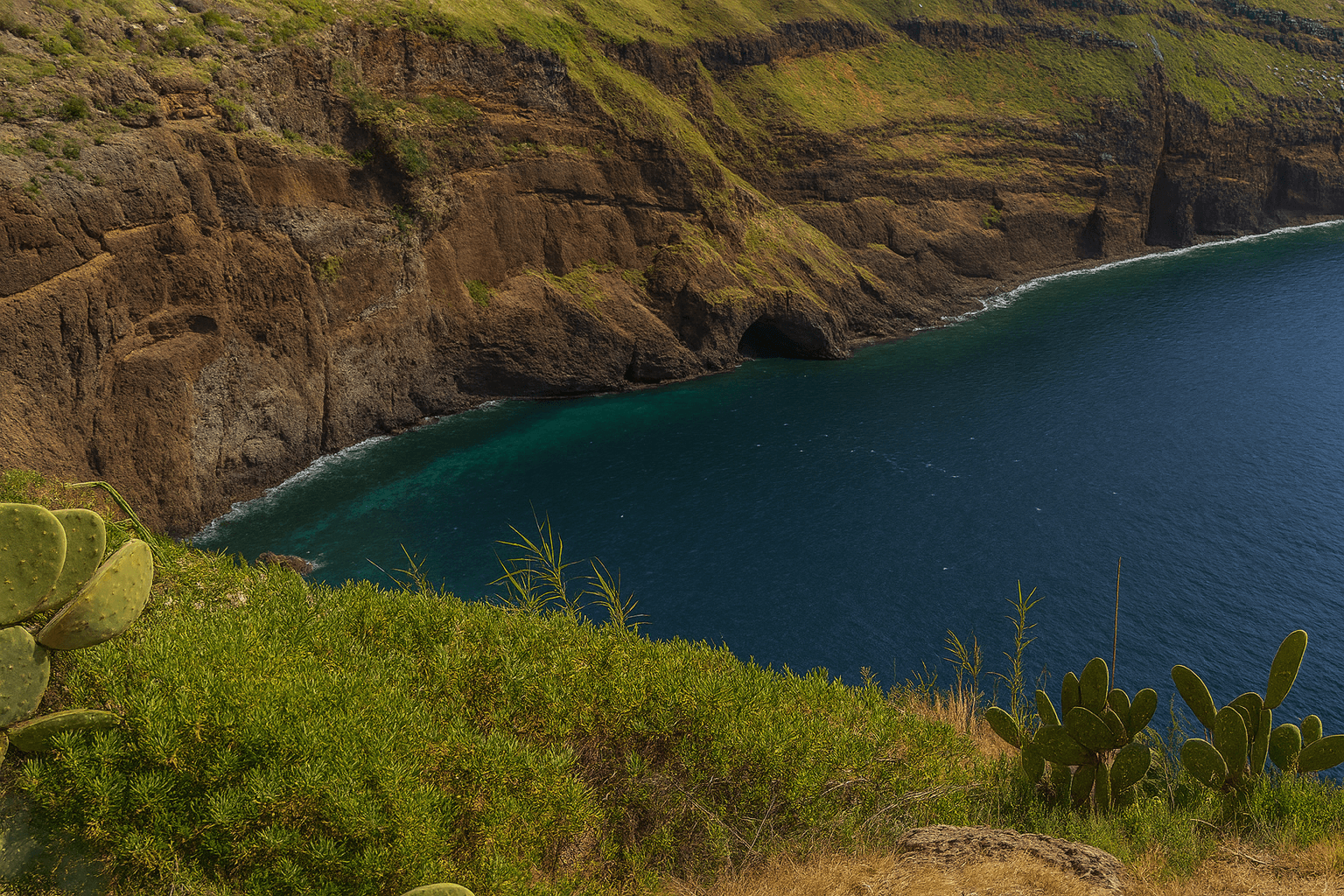 Scuba diving at Garajau Nature Reserve in Madeira