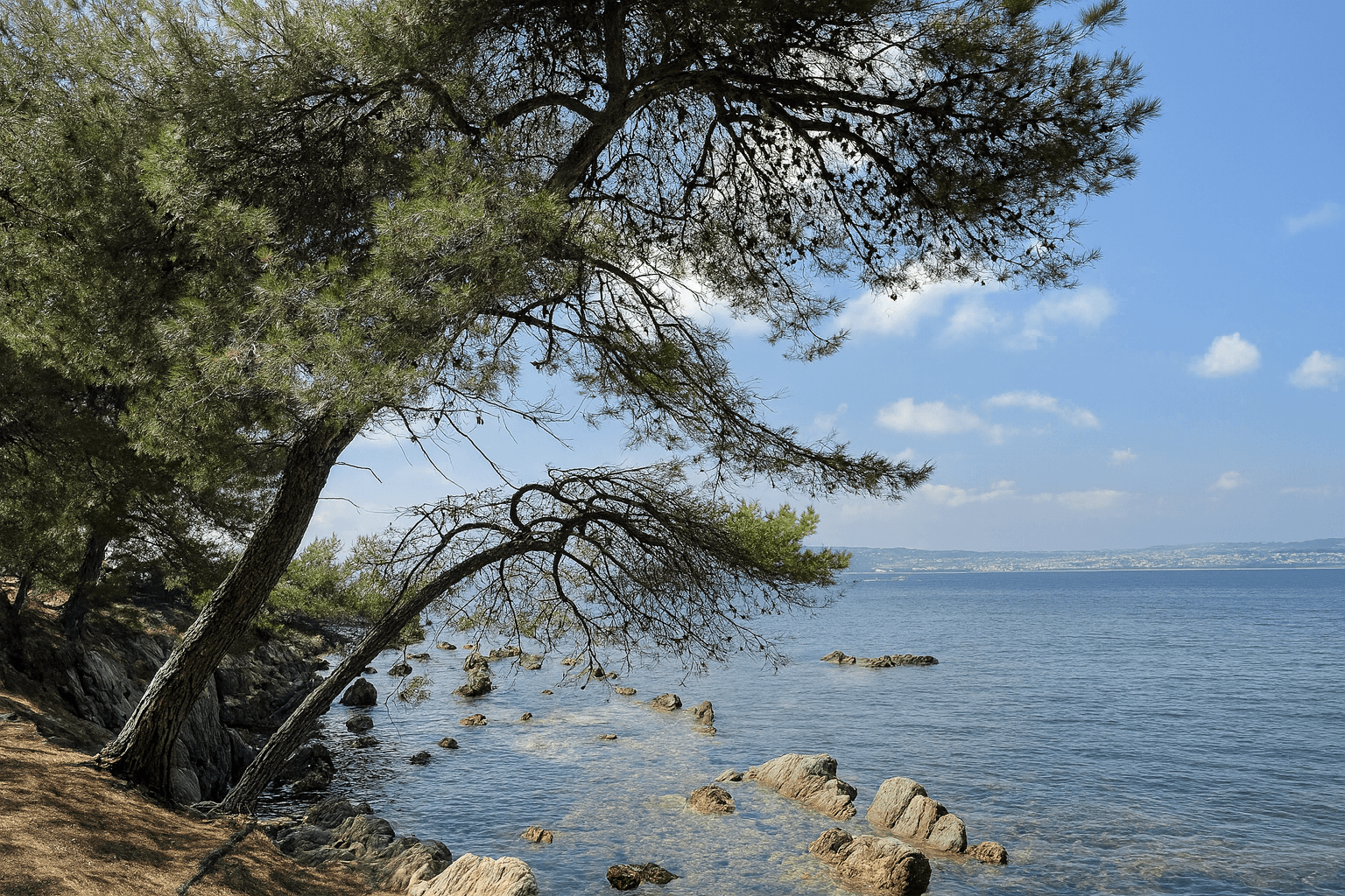 Scuba diving at La Tradelière in Cannes