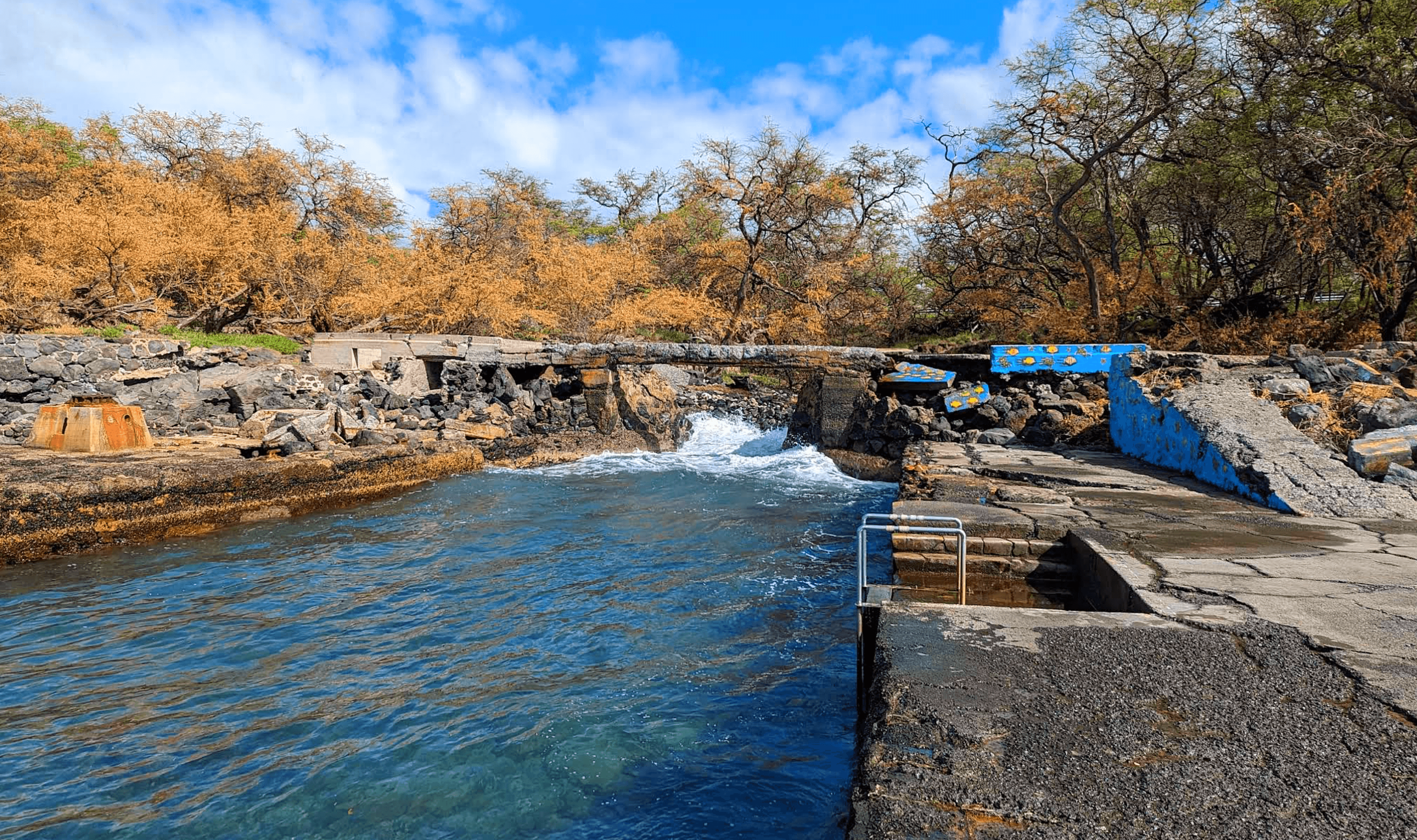 Scuba diving at Mahukona Beach Park in Big Island