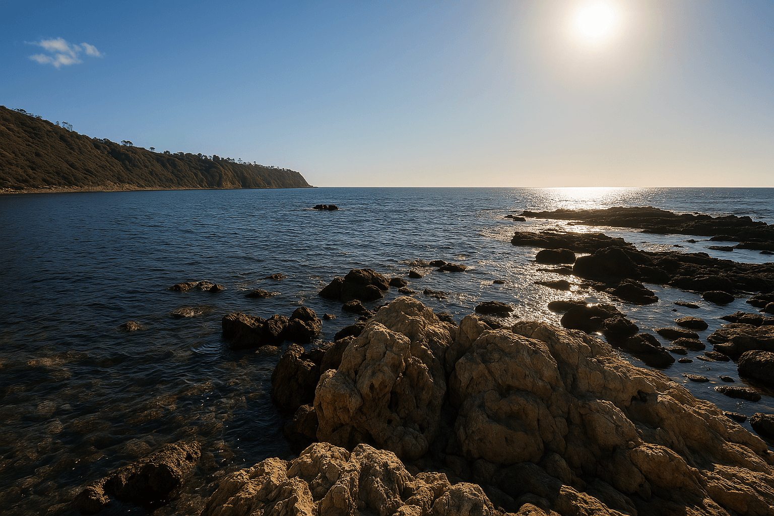 Scuba diving at Malaga Cove in Los Angeles