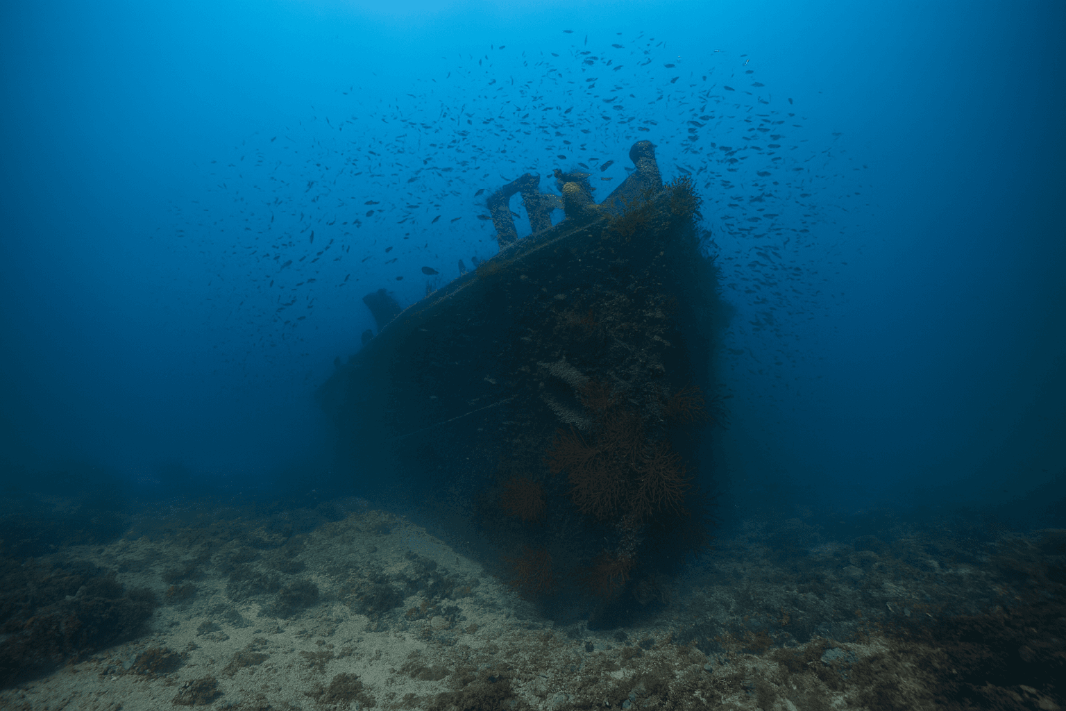 Scuba diving at River Gurara Proa (Bow) in Lisbon Coast